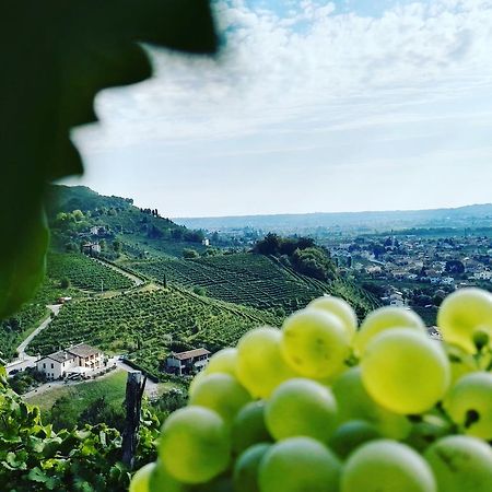 Penzion Agriturismo Al Credazzo Farra di Soligo Exteriér fotografie