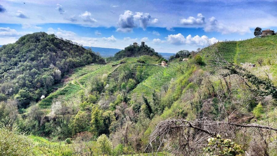 Agriturismo Al Credazzo Farra di Soligo Exteriér fotografie